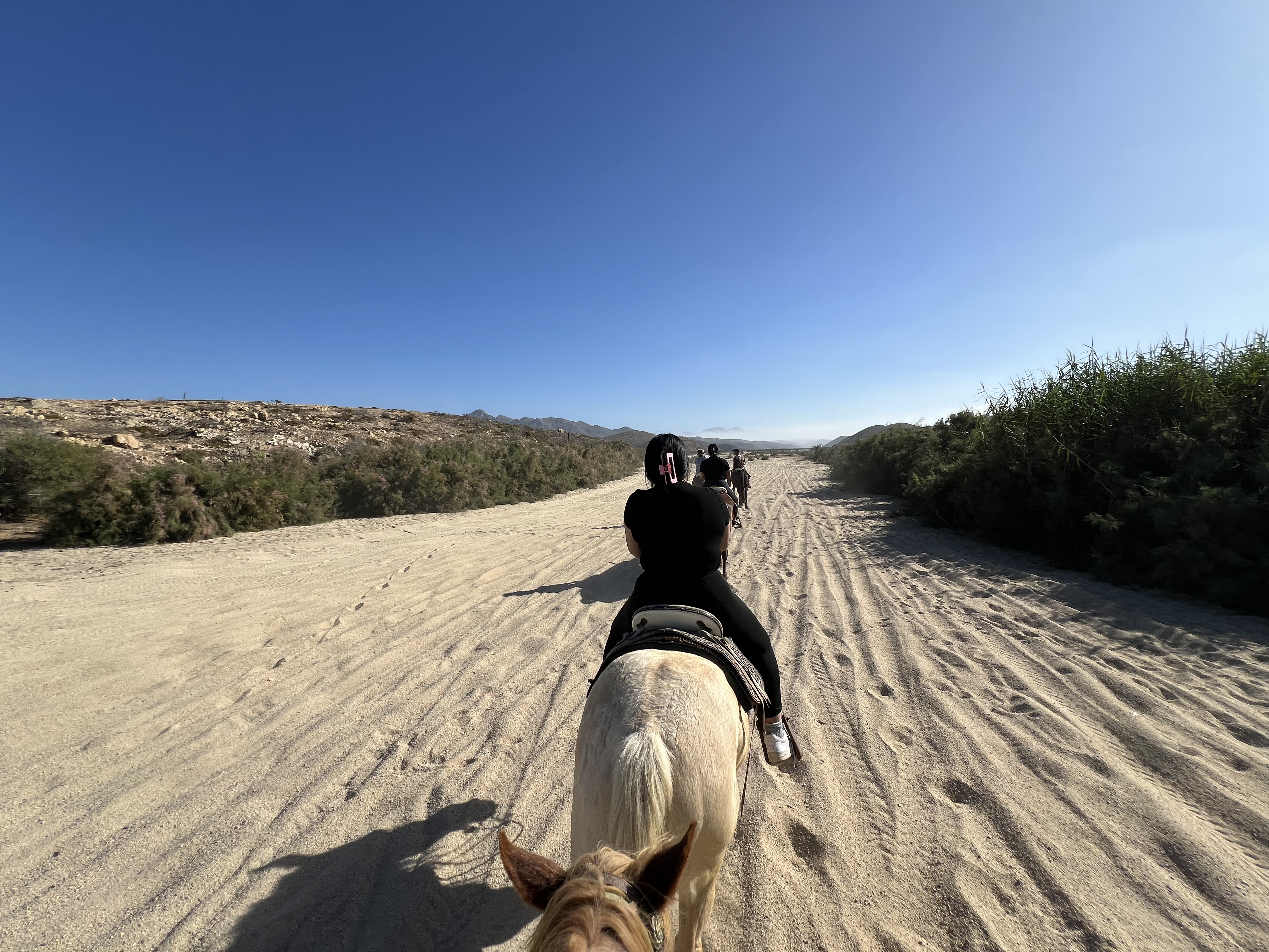 ./2024/13 - Cabo/IMG_4475.jpg